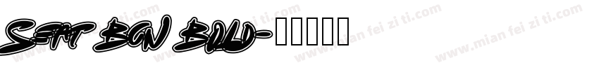 Seat Bcn Bold字体转换